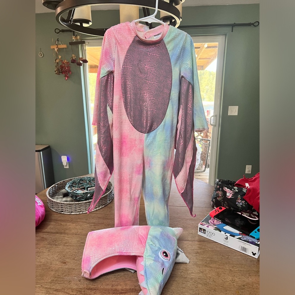 Dinosaur costume